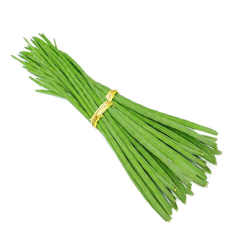 Fresh Drumsticks (India)