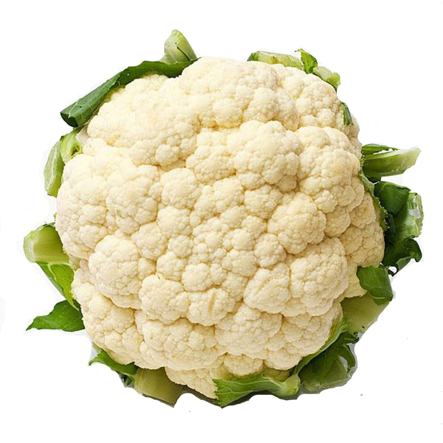 Fresh Indian Cauliflower (Gobhee) (No Exchange or Refund for this item)