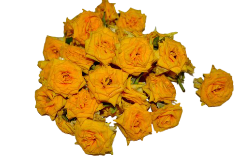 Fresh Yellow Rose Pooja Flower