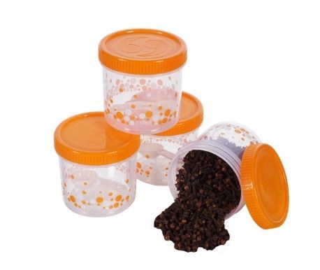 Prime Housewares Tiny Tot Design Printed Plastic Storage Container (Colour May Vary)