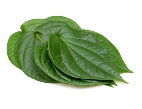Fresh Betel Leaves For Pooja