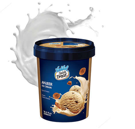 Vadilal Ice Cream Anjeer (Fig) (Chilled)