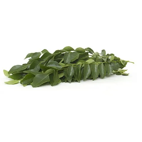 Fresh Curry Leaves