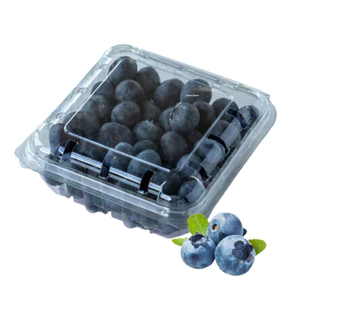Fresh Blueberries