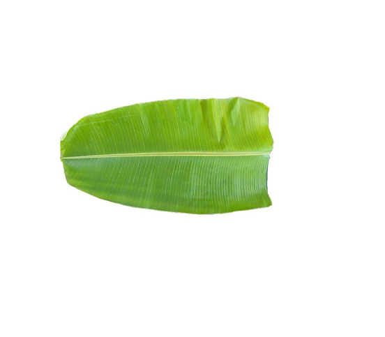 Fresh Banana Leaf For Pooja (Thalai Vazhai Ilai)