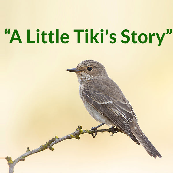 A little tiki's story FromIndia.com