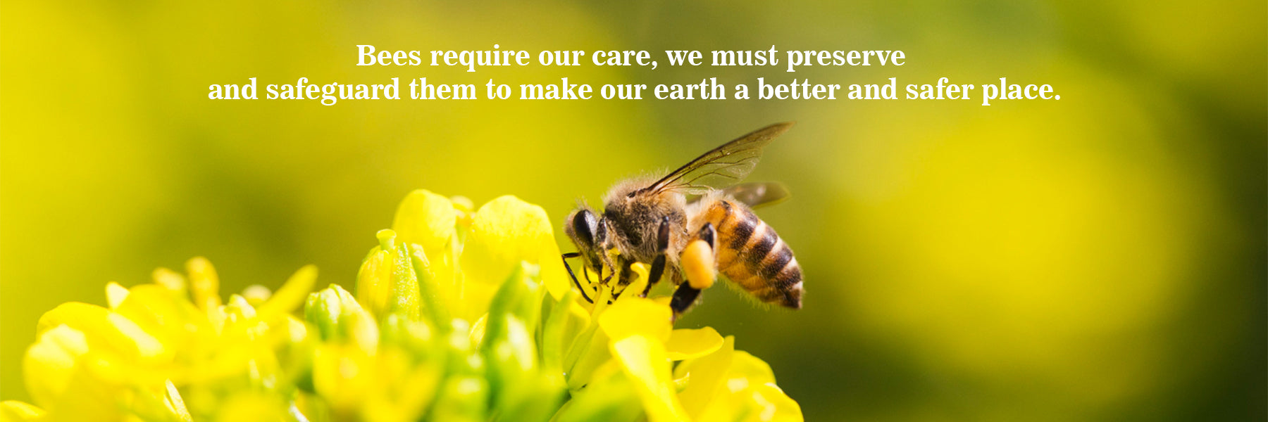 Bees require our care, and we must preserve and safeguard them to make our earth a better and safer place. FromIndia.com