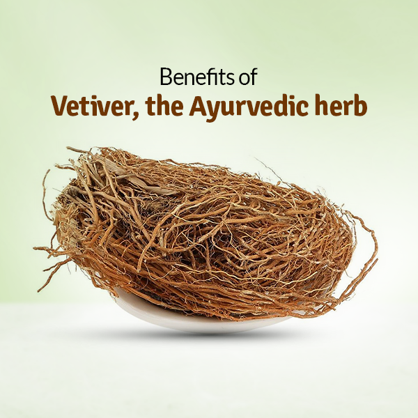 Benefits of Vetiver, The Ayurvedic Herb FromIndia.com