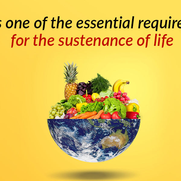 Food is one of the essential requirements for the sustenance of life. FromIndia.com