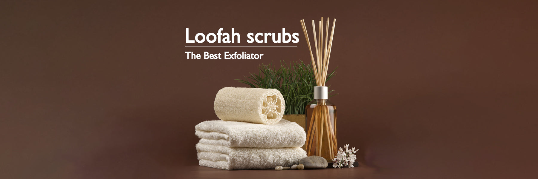 Loofah scrubs – The best exfoliator FromIndia.com