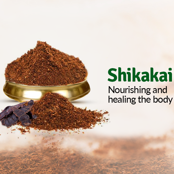 Shikakai: Nourishing and Healing the Body FromIndia.com