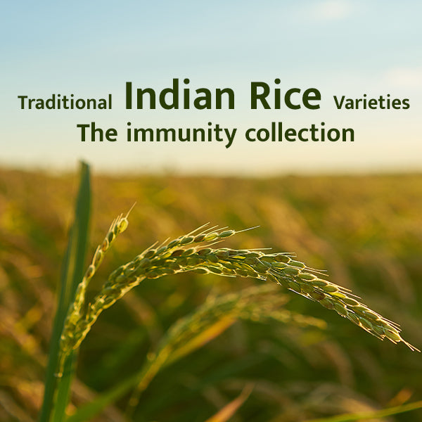 Traditional Indian rice varieties and its nutritional benefits FromIndia.com