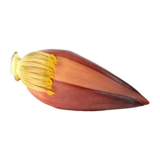 Fresh Banana Flower 