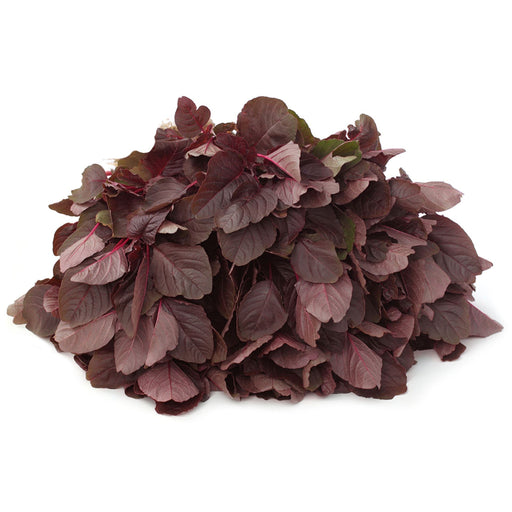 Fresh Red Spinach (Lal Shak)