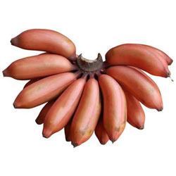 Fresh Red Banana (Sevvalai)