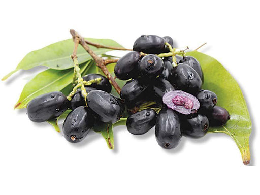 Fresh Jamun Fruit (Black Plum)
