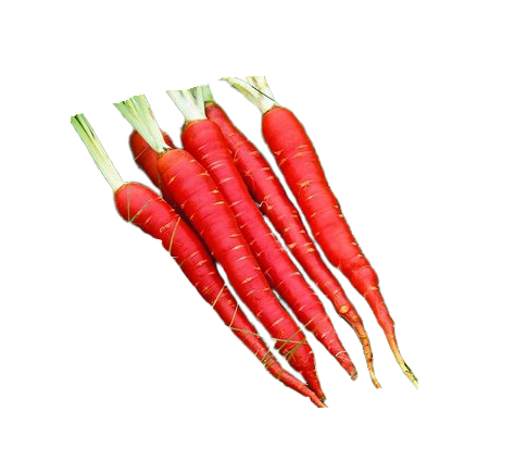 Fresh Red Carrot India (Desi Gajar)