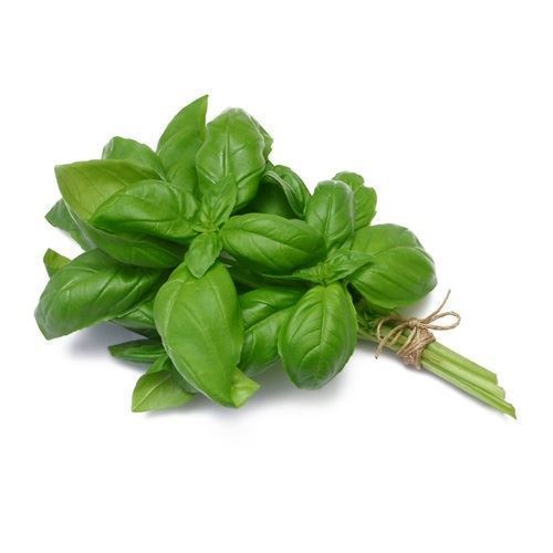 Fresh Herbs Basil