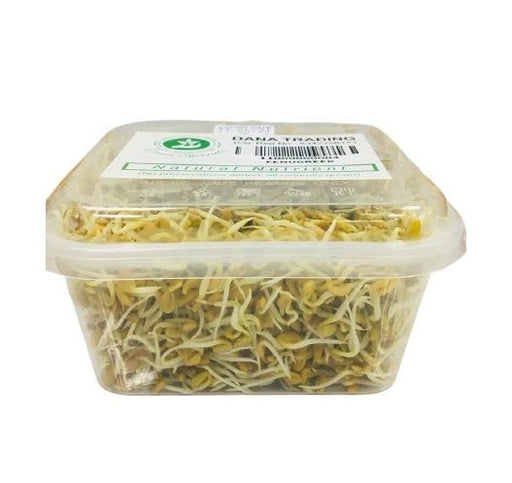 Dana Fresh Fenugreek Sprouts (Deliver Atleast 2 days before it Expires)