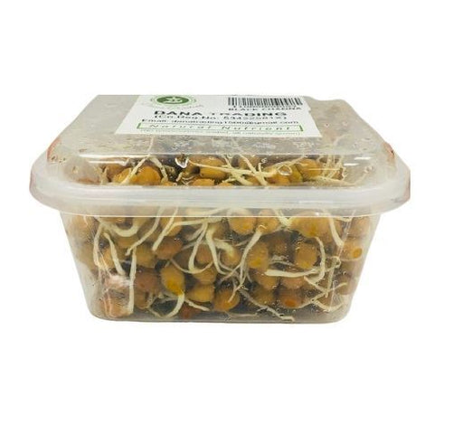 Dana Fresh Black Channa/Chick Peas Sprouts (Deliver Atleast 2 days before it Expires)