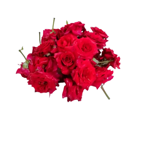 Fresh Red Rose Pooja Flower
