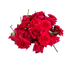 Fresh Red Rose Pooja Flower