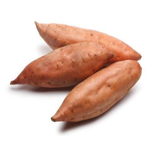 Fresh Sweet Potato (India)