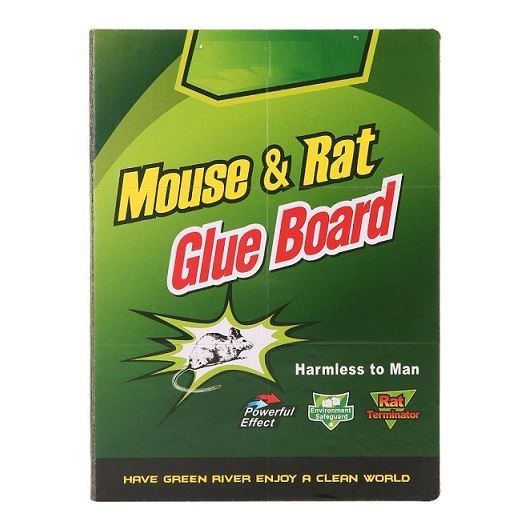 Green Palm Tree Mouse & Rat Glue Board