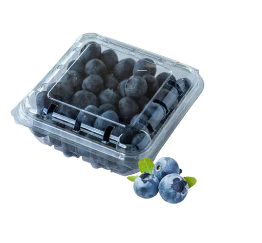 Fresh Blueberries 