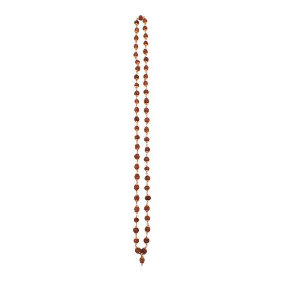 Meghana Rudraksha Mala - 1 pc