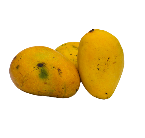 Fresh Badami Mangoes India (No Exchange or Refund for this item) - 900g to 1.1kg