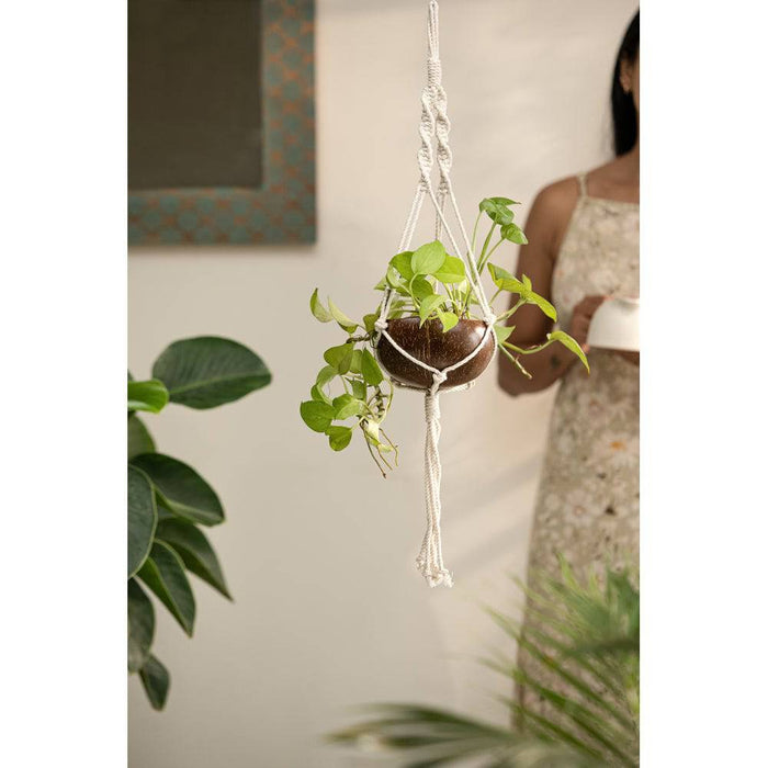 Coconut Hanging Planter - Set Of 1 Shell + 1 Hanger