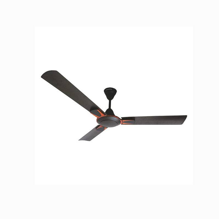 Crompton Ceiling Fan Diego Smoked Brown - 1 Pc