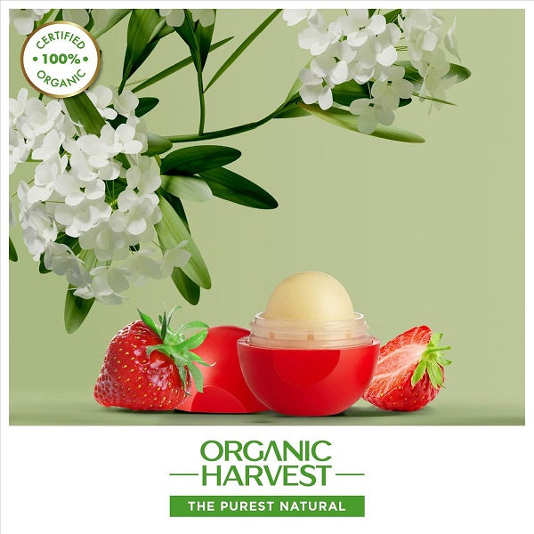 Organic Harvest Moisturizing Lip Balm Strawberry (Certified Organic) - 10 g