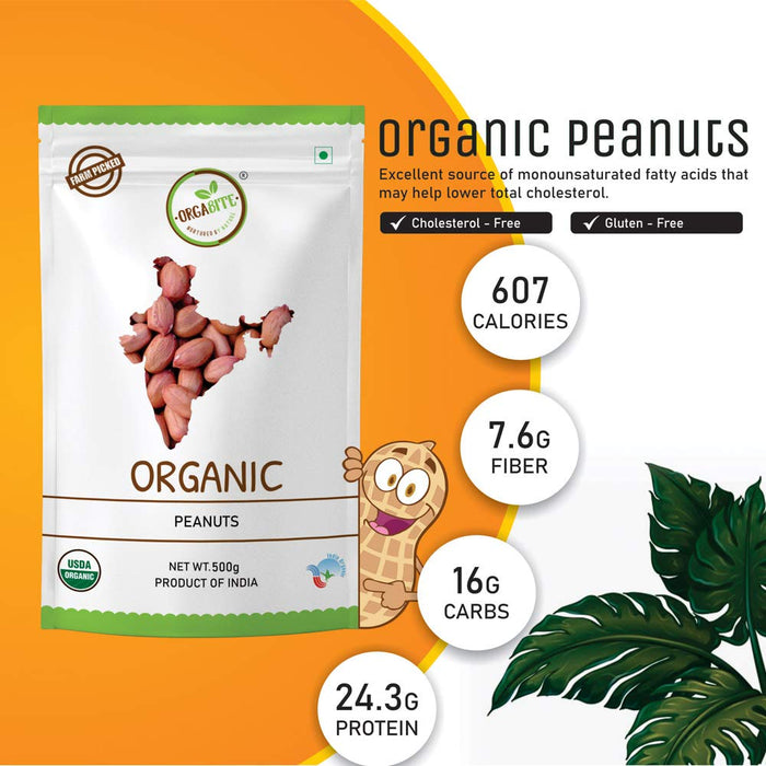 Orgabite Raw Peanuts (Certified ORGANIC) - 500 g