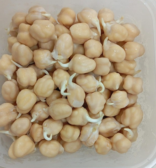 Dana Fresh White Channa/Chick Peas Sprouts (Deliver Atleast 2 days before it Expires) - 200 g