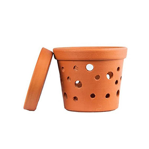 Terracotta Orchid Pot 6 inch 1 Qty - FromIndia.com