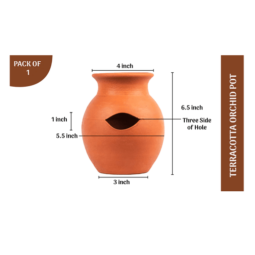 Terracotta Orchid Pot Pack of 1 - FromIndia.com