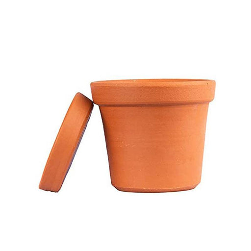 Terracotta Plant Container, Brown(6 inch 1 Qty) - FromIndia.com