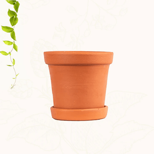 Terracotta Plant Container, Brown(6 inch 1 Qty) - FromIndia.com