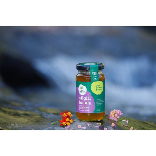 Nilgiris Wild Natural Honey 500g-Last Forest - FromIndia.com