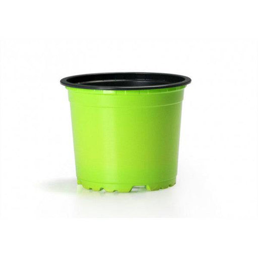 Pioneer Agro Industry Plant Pot - FromIndia.com