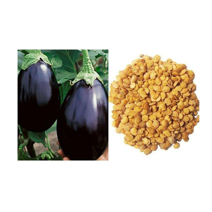 Pioneer Agro Industry Vegetable Brinjal Seeds - FromIndia.com
