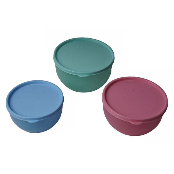 Leak Proof Container With Lid - Set of 3