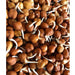 Dana Fresh Black Channa/Chick Peas Sprouts (Deliver Atleast 2 days before it Expires) 200 g - FromIndia.com