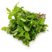 Fresh Mint Leaves 100 g - FromIndia.com