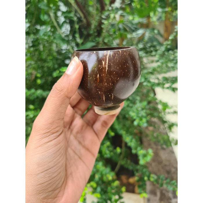 Coconut Shell Eco friendly Shot Wine Glass - Set of 2